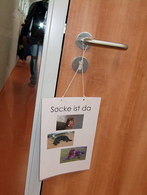 Socke03_01.jpg  