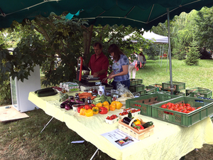 jahresfest_2019_wiese_05.jpg  