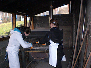 Bioland-Brot-Backen