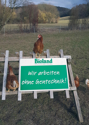 legehuhn_04.jpg  