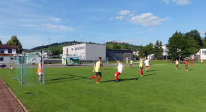 vfb_pp_kick_01.jpg  