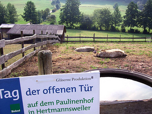 Paulinenhof-Fest 2016