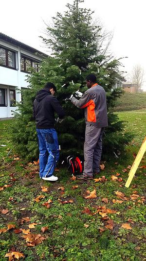 weihnachtsgruss_2015.jpg  