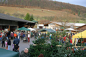 Paulinenfof Weinachtsmarkt